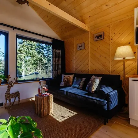 Chalet Lesny *