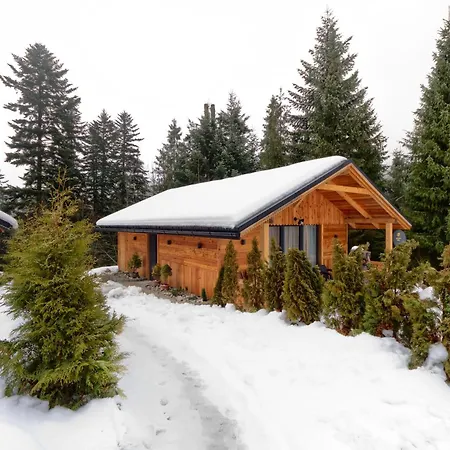 Lesny * זקופאנה