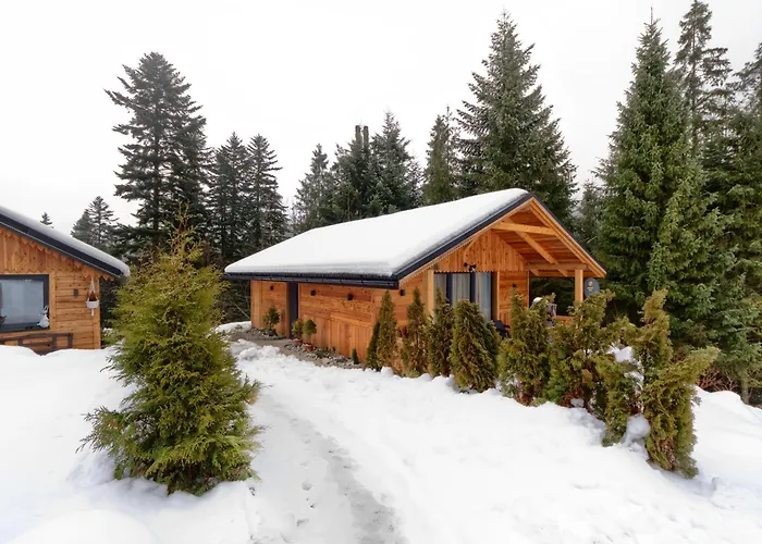 Lesny * זקופאנה